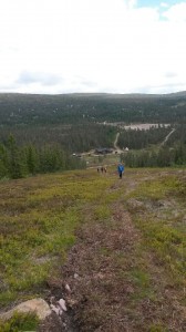 Utsikt från dagens start i en slalombacke.